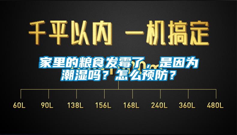 家里的糧食發(fā)霉了，是因為潮濕嗎？怎么預(yù)防？