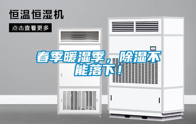 春季暖濕季，除濕不能落下！