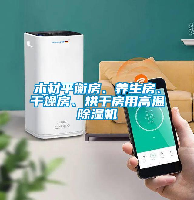 木材平衡房、養(yǎng)生房、干燥房、烘干房用高溫除濕機(jī)