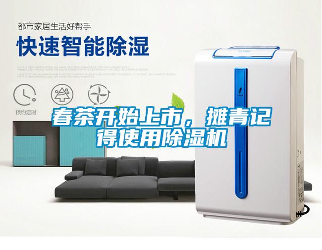 春茶開始上市，攤青記得使用除濕機(jī)