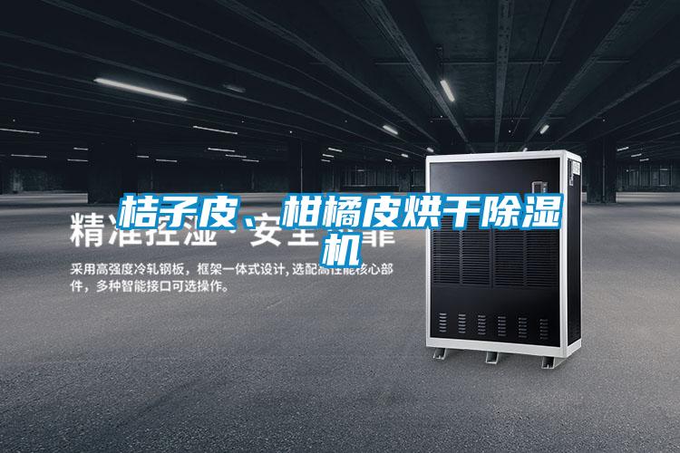 桔子皮、柑橘皮烘干除濕機(jī)