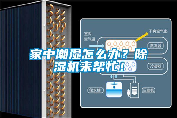 家中潮濕怎么辦？除濕機來幫忙！
