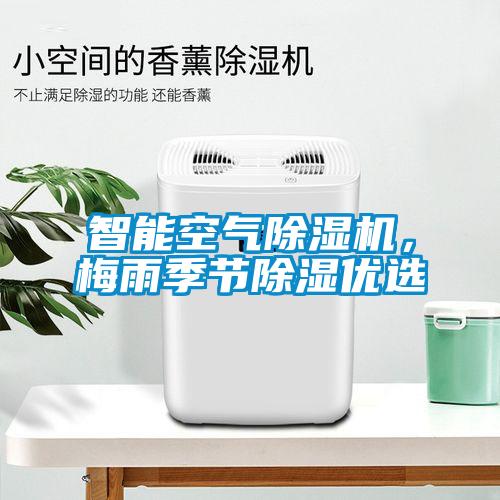 巴西菇、姬松茸烘干機(jī)-怎樣烘干色澤好且菇體褶片完整？