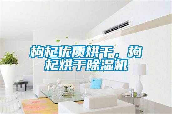 枸杞優(yōu)質(zhì)烘干，枸杞烘干除濕機