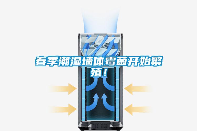 春季潮濕墻體霉菌開始繁殖！