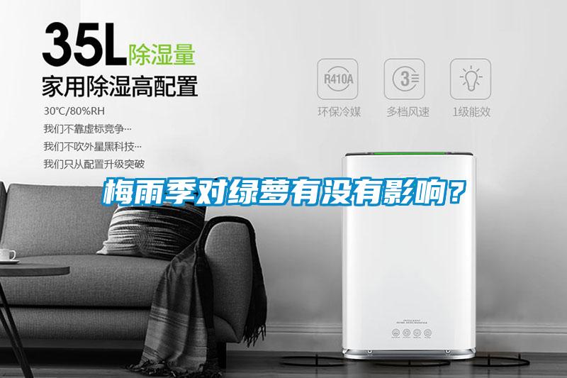 梅雨季對綠蘿有沒有影響？