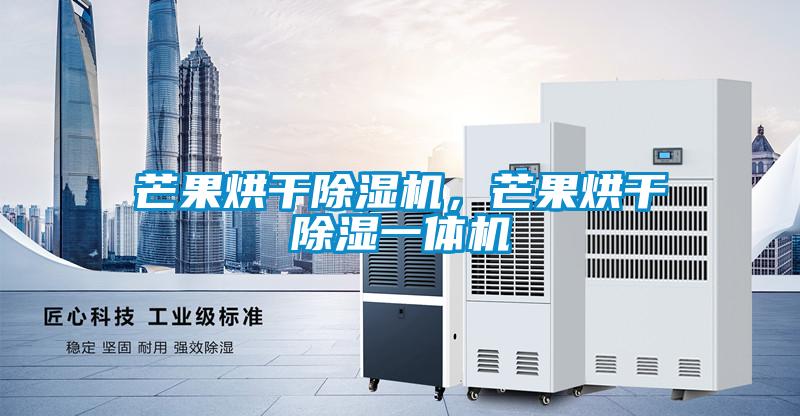 芒果烘干除濕機(jī)，芒果烘干除濕一體機(jī)