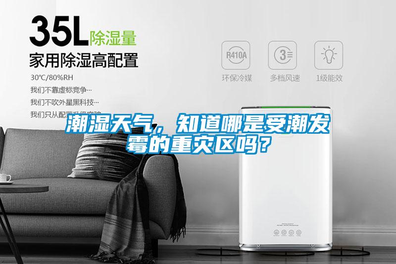 潮濕天氣，知道哪是受潮發(fā)霉的重災(zāi)區(qū)嗎？
