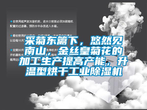采菊東籬下，悠然見南山，金絲皇菊花的加工生產(chǎn)提高產(chǎn)能，升溫型烘干工業(yè)除濕機(jī)