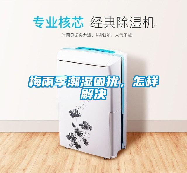 梅雨季潮濕困擾，怎樣解決