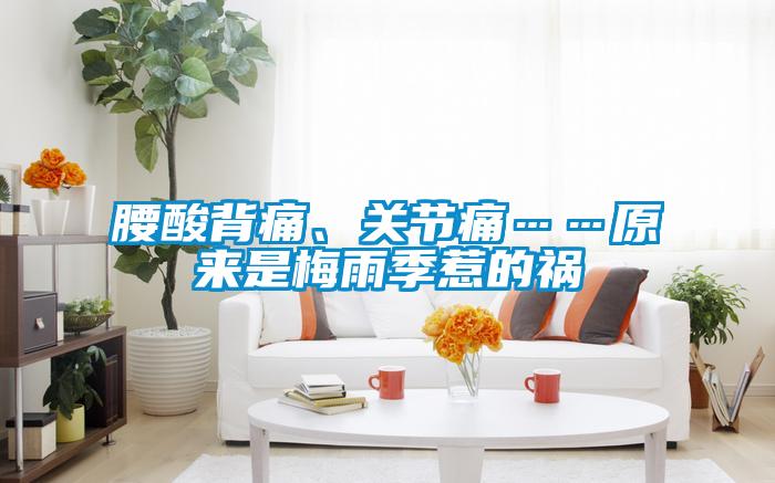 腰酸背痛、關(guān)節(jié)痛……原來是梅雨季惹的禍