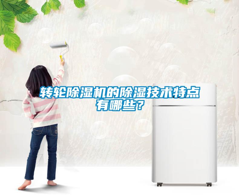 轉(zhuǎn)輪除濕機的除濕技術(shù)特點有哪些？