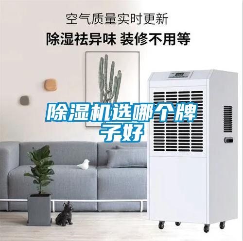 除濕機(jī)選哪個牌子好