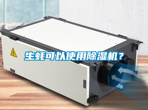 生蠔可以使用除濕機(jī)？