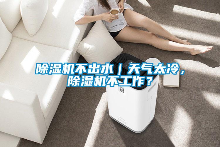 除濕機不出水｜天氣太冷，除濕機不工作？