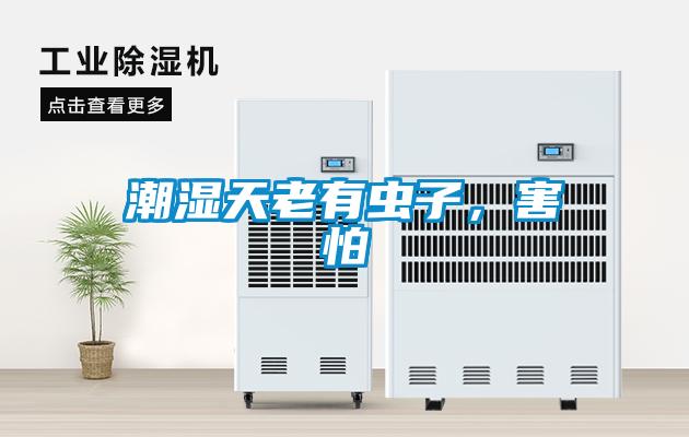 潮濕天老有蟲子，害怕