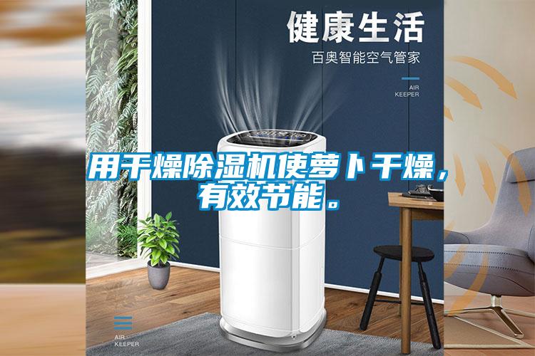 用干燥除濕機(jī)使蘿卜干燥，有效節(jié)能。