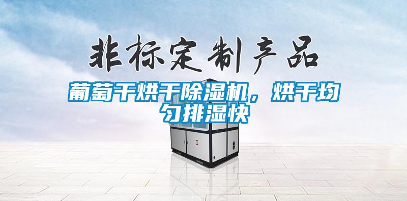 葡萄干烘干除濕機(jī)，烘干均勻排濕快