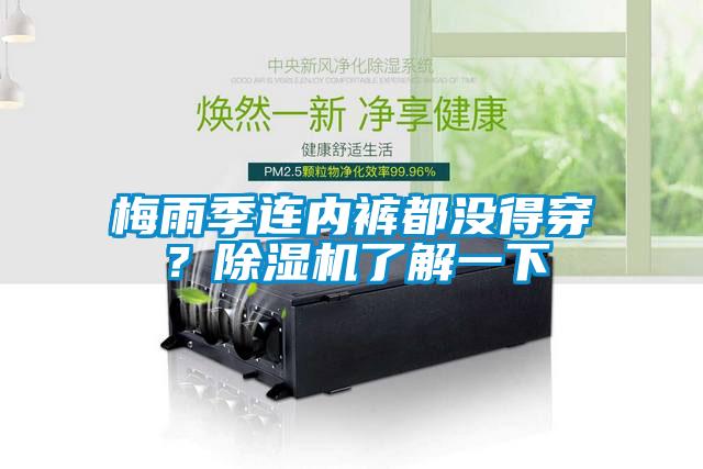 梅雨季連內(nèi)褲都沒得穿？除濕機了解一下