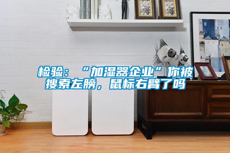 檢驗：“加濕器企業(yè)”你被搜索左膀，鼠標右臂了嗎
