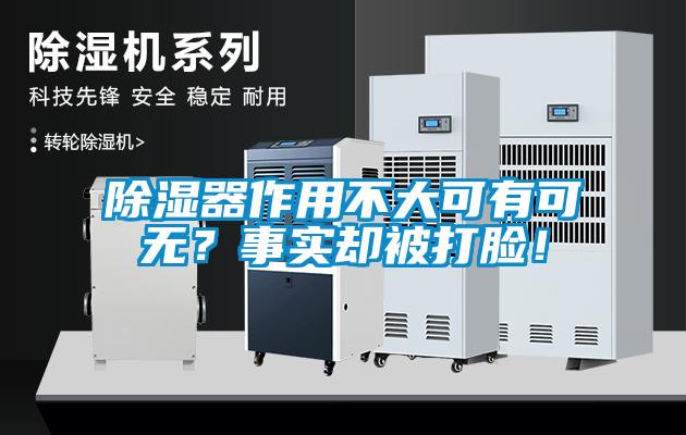 除濕器作用不大可有可無(wú)？事實(shí)卻被打臉！