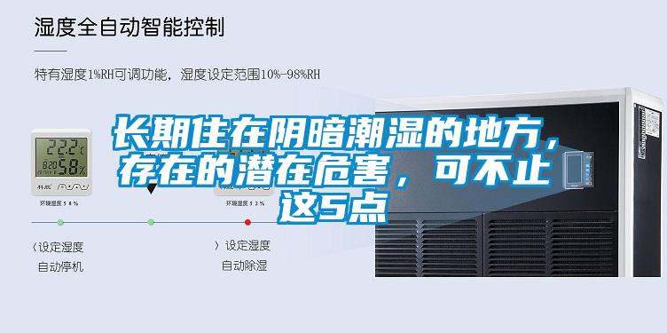長期住在陰暗潮濕的地方，存在的潛在危害，可不止這5點
