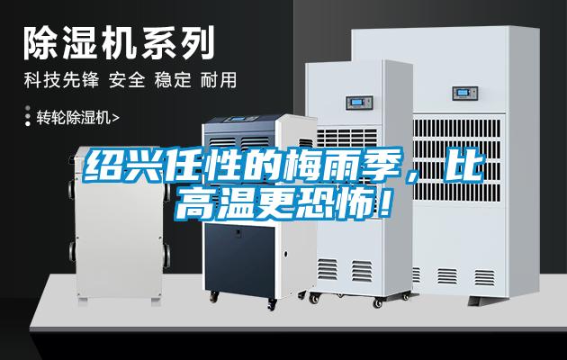紹興任性的梅雨季，比高溫更恐怖！