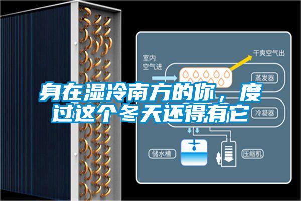 身在濕冷南方的你，度過這個冬天還得有它