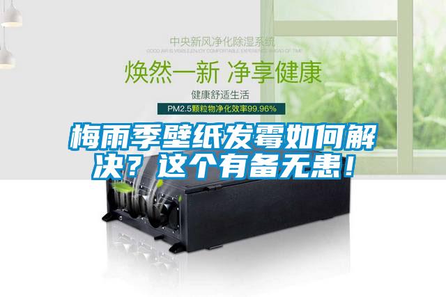 梅雨季壁紙發(fā)霉如何解決？這個(gè)有備無患！