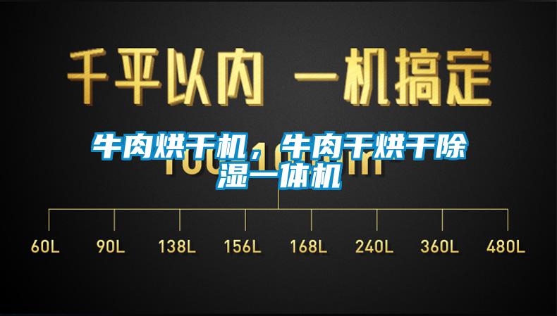 牛肉烘干機，牛肉干烘干除濕一體機