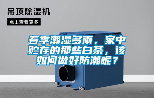 春季潮濕多雨，家中貯存的那些白茶，該如何做好防潮呢？
