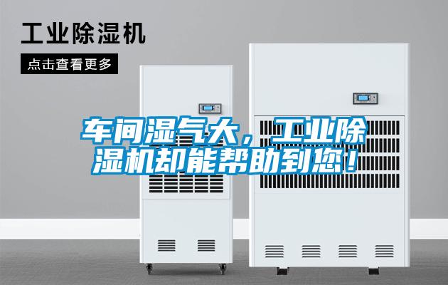 車間濕氣大，工業(yè)除濕機(jī)卻能幫助到您！