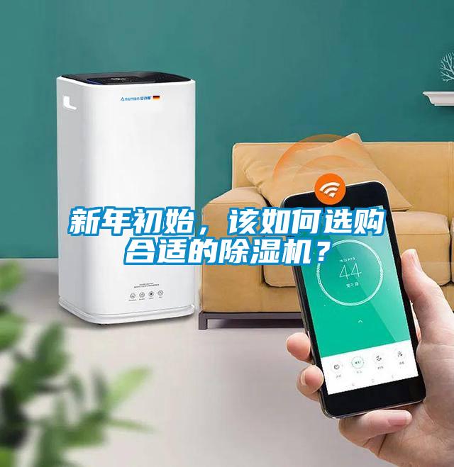 新年初始，該如何選購合適的除濕機？