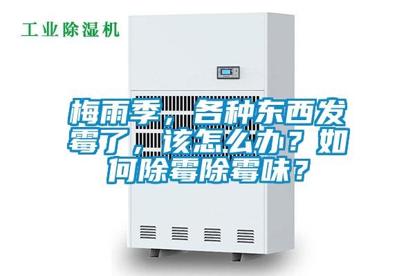 梅雨季，各種東西發(fā)霉了，該怎么辦？如何除霉除霉味？