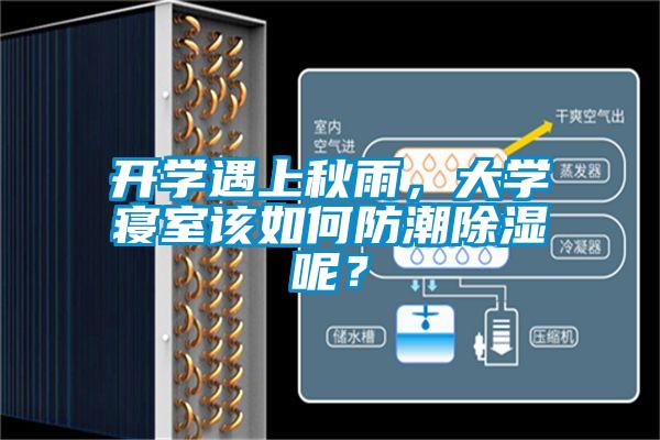 開(kāi)學(xué)遇上秋雨，大學(xué)寢室該如何防潮除濕呢？