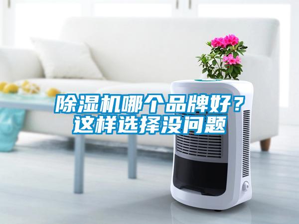 除濕機(jī)哪個(gè)品牌好？這樣選擇沒問題