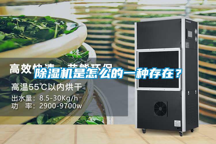 除濕機(jī)是怎么的一種存在？