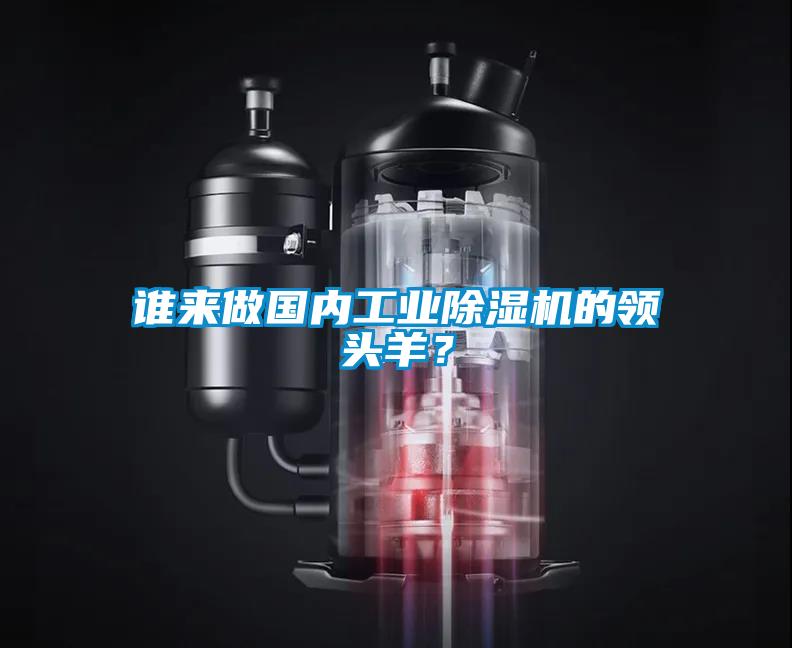 誰來做國內(nèi)工業(yè)除濕機(jī)的領(lǐng)頭羊？