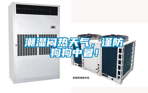 潮濕悶熱天氣，謹(jǐn)防狗狗中暑！