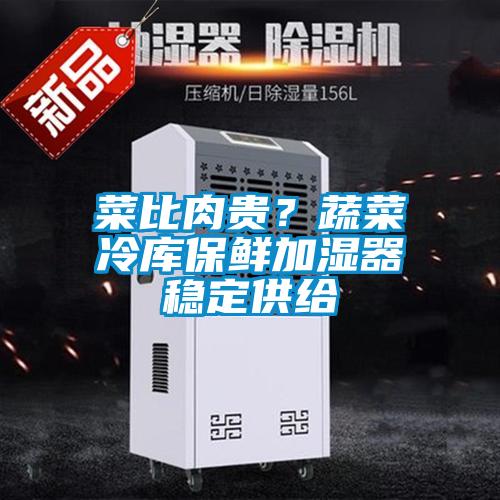 菜比肉貴？蔬菜冷庫保鮮加濕器穩(wěn)定供給