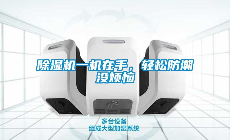 除濕機(jī)一機(jī)在手，輕松防潮沒煩惱