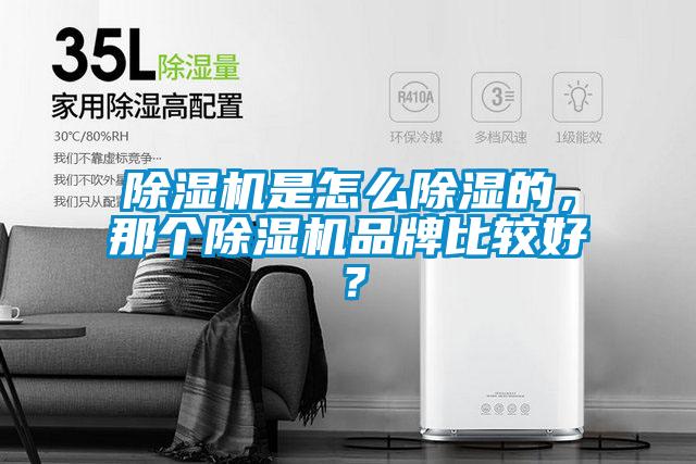 除濕機(jī)是怎么除濕的，那個(gè)除濕機(jī)品牌比較好？