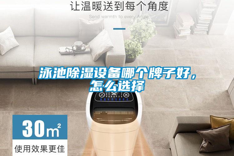 泳池除濕設(shè)備哪個(gè)牌子好，怎么選擇