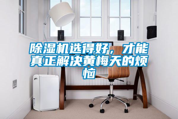 除濕機(jī)選得好，才能真正解決黃梅天的煩惱
