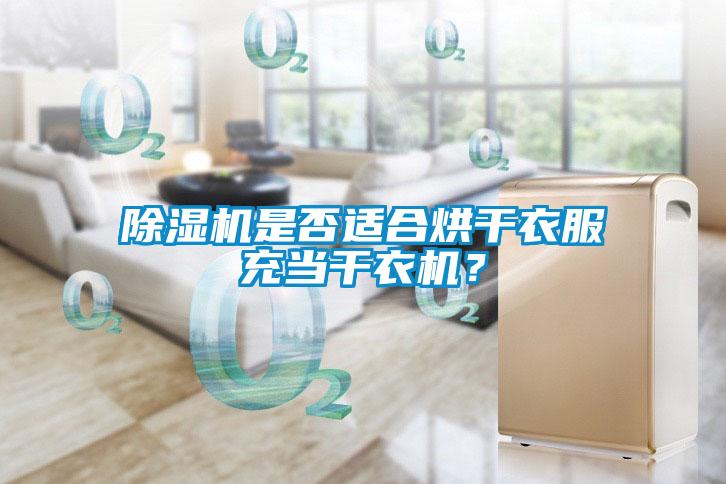 除濕機(jī)是否適合烘干衣服充當(dāng)干衣機(jī)？