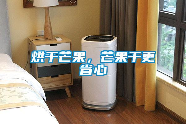 烘干芒果，芒果干更省心
