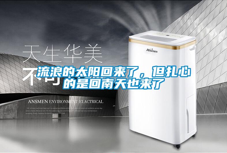 流浪的太陽回來了，但扎心的是回南天也來了
