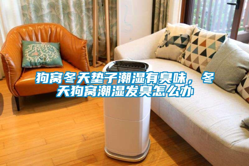狗窩冬天墊子潮濕有臭味，冬天狗窩潮濕發(fā)臭怎么辦