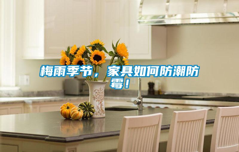 梅雨季節(jié)，家具如何防潮防霉！
