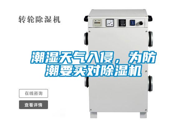 潮濕天氣入侵，為防潮要買對除濕機